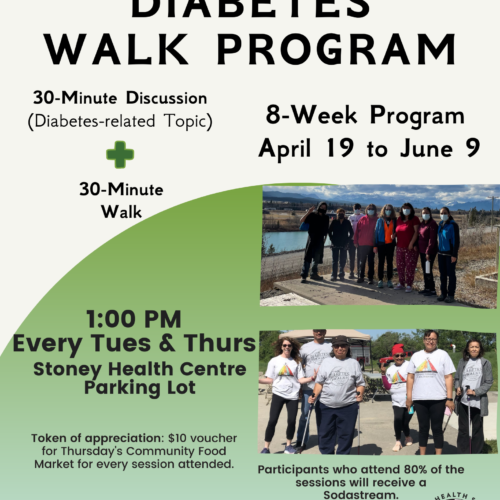 Wathtech Diabetes Walking Program