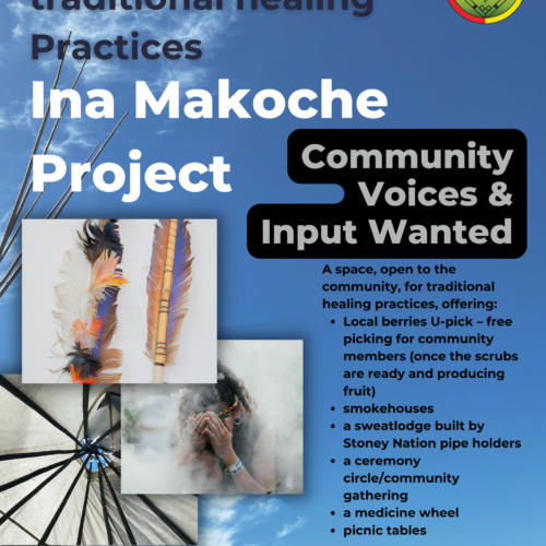 Share your input. Share your voice. Ina Makoch, a space for traditional healing.