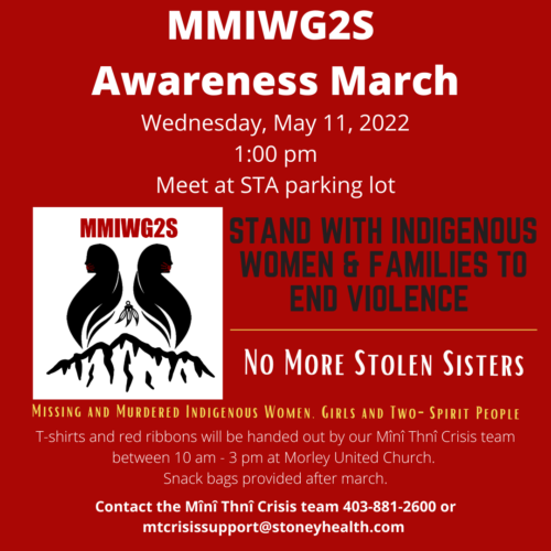 #MMIGW2S Awareness Day and March. May 11
